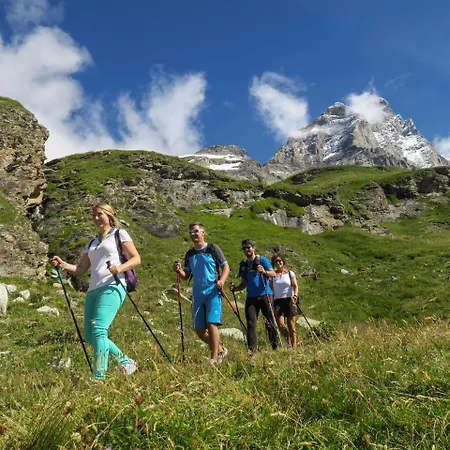 In Aosta Valley Near Lift *